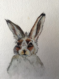 Портрет кролика.