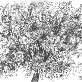 Вид из окна