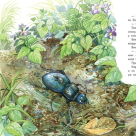 Жужелка и муравьишка