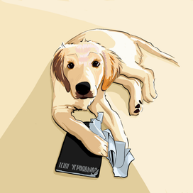 Иллюстрация