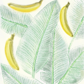 Листья и бананы 