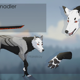 Референс на персонажа(заказ)