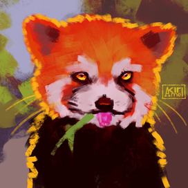 Red Panda