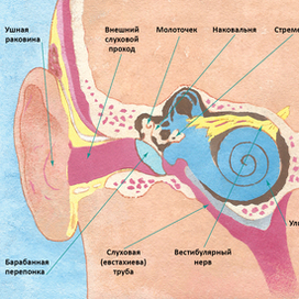Ольга Епифанова «Детям про тело» 2018 г.