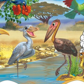 Птицы Африки