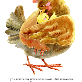 Чуковский. Цыпленок. мама курица