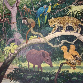 илл. из книги "На поиски животных" (Бразилия)