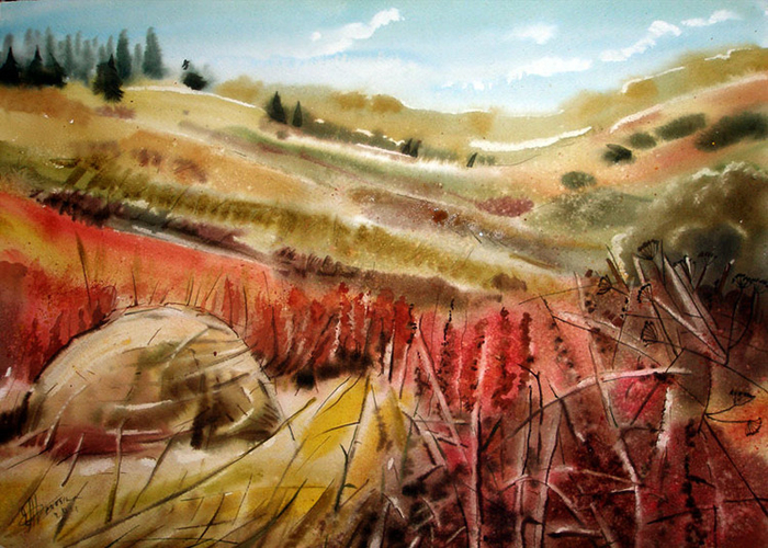 Анисовое сено.