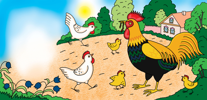 кто живёт во дворе?