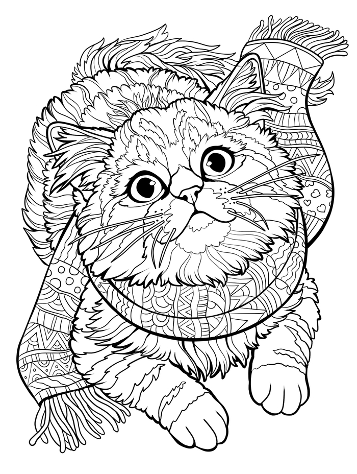 Котик в шарфике