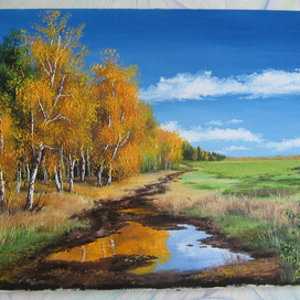 Осень , небо в лужице.