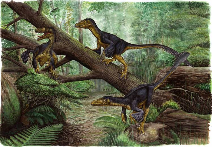 Balaur bondoc (динозавр)