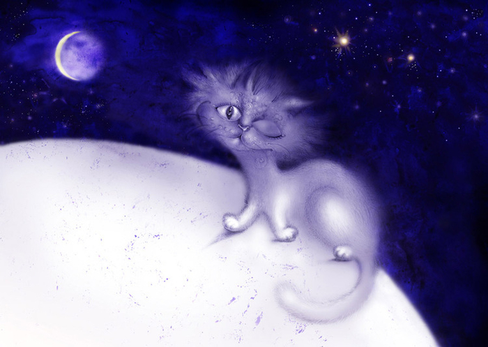лунный кот