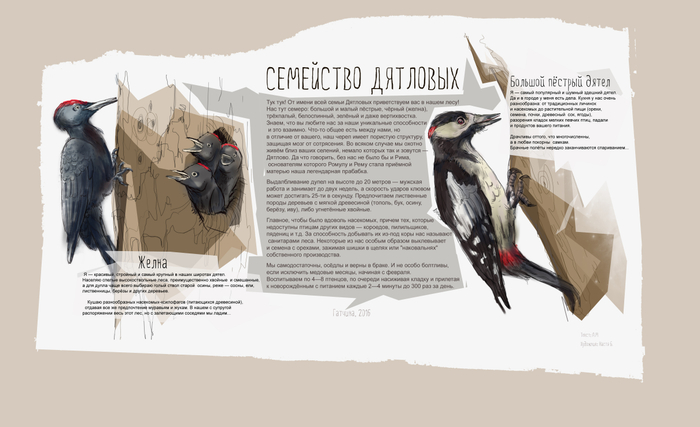 Семейство дятловых