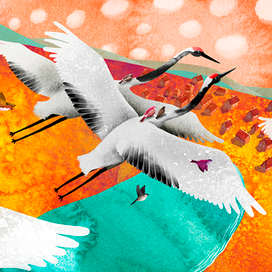 Таёжные сказки.