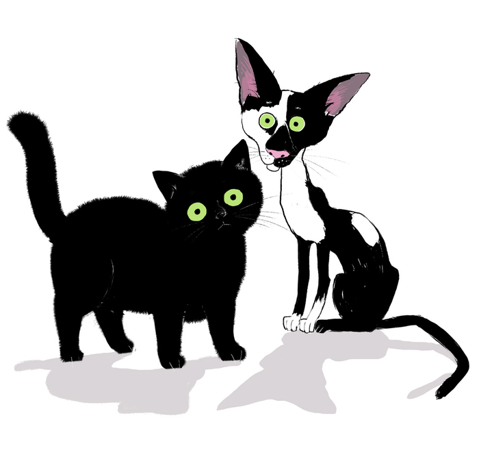 Жирность и Обезжиренность