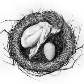 (без названия)