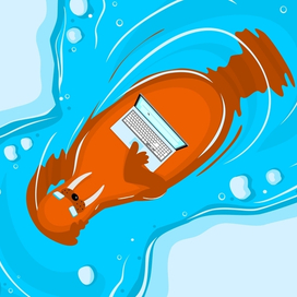 Морж в инете