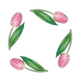 Круговая композиция Тюльпаны