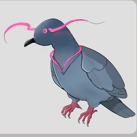 Магический голубь 