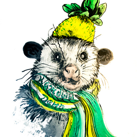 Опоссум Гилберт