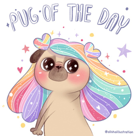 Magic pug