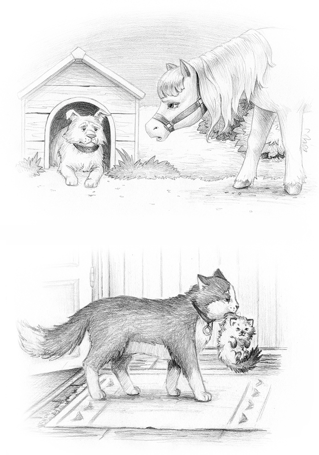 Котики и другие обитатели фермы (2)
