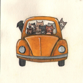 котомобиль