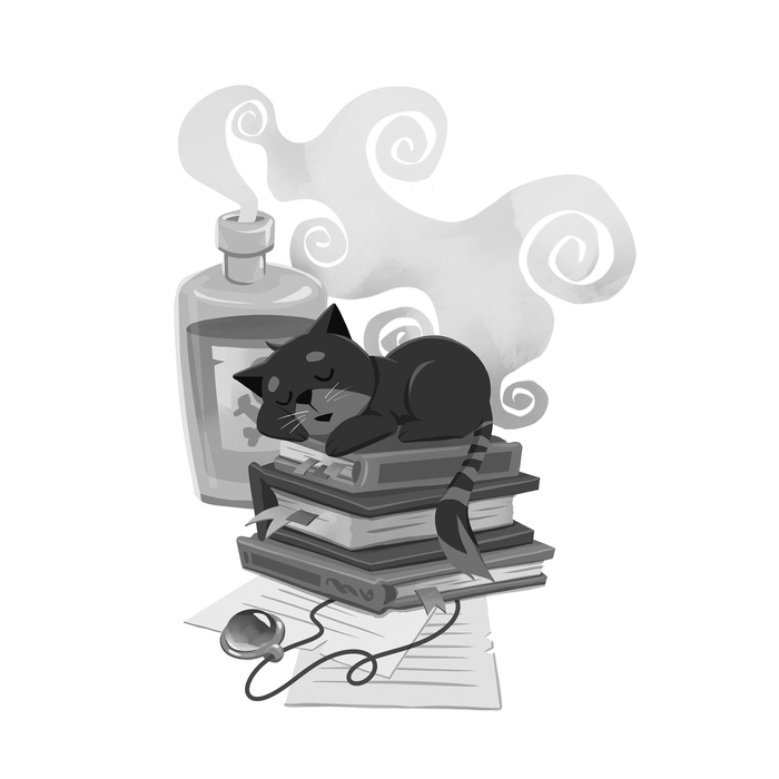 Кот на вельминских вещах