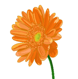 Ромашка (Paint)