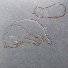 Кошачьи наброски, 10 мин