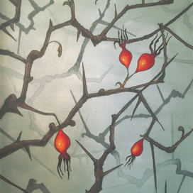 Шиповник (Спящая красавица)