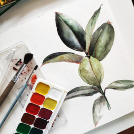 Флористика_1