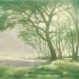 Солнце за деревьями