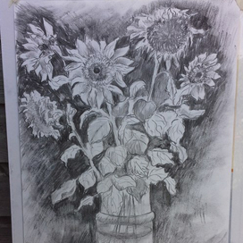 подсолнухи