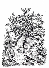 А. ФЕТ. стихотворения.