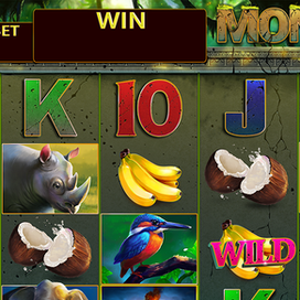 Monkey slots