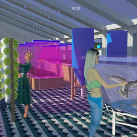 колхоз для миллениалов