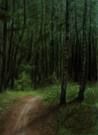 Тропа к елани