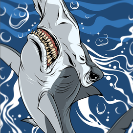 Акула молот