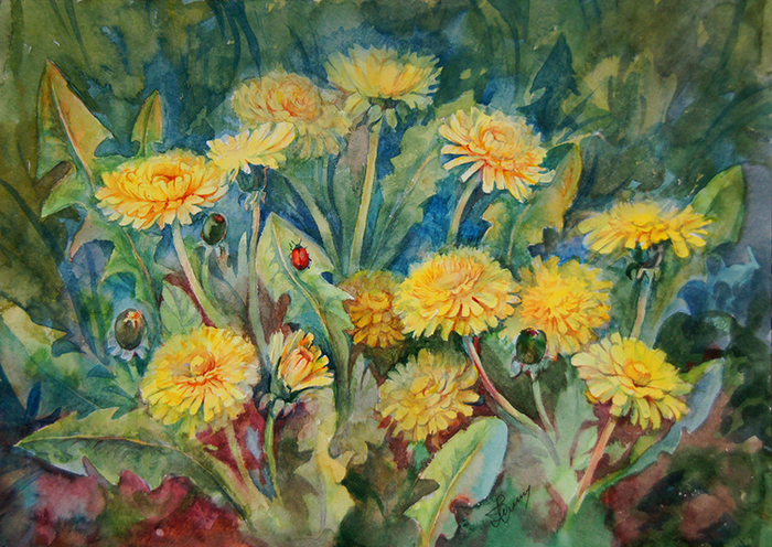 одуванчики