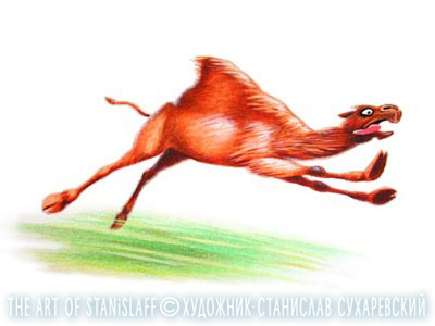 иллюстрация \ верблюд опоздал