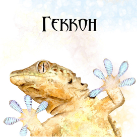 Геккон - акварель