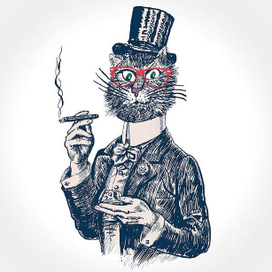 кот джентльмен