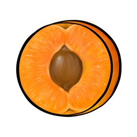 Абрикос (для детской аппликации)