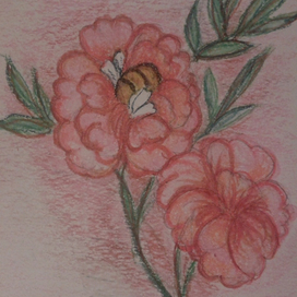 Мохнатый шмель