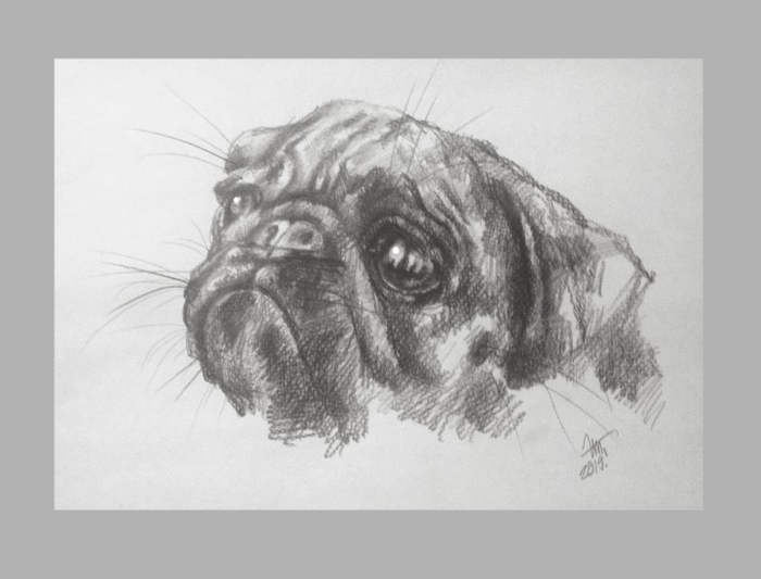 Ёпсиль-Мопсиль-5. Мопсилиана