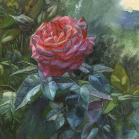 Дачная дама