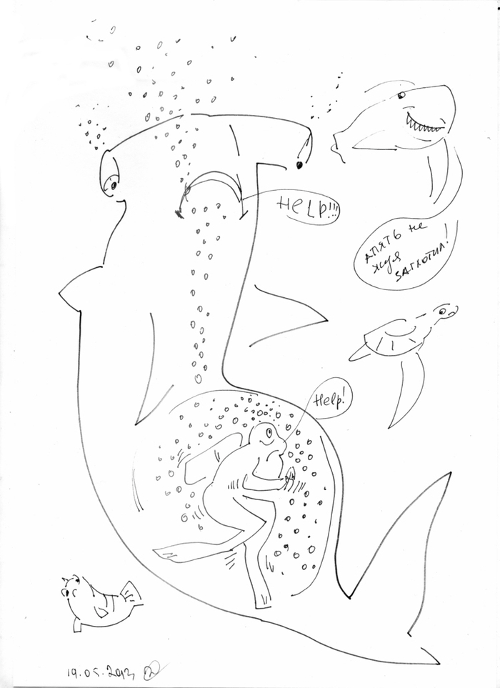 Пугливая Акула и пузырьки аквалангистов