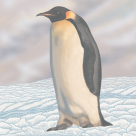 В стране ледников